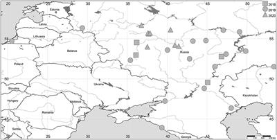 Invasion of the Asian Ladybird Harmonia axyridis (Pallas, 1773) in the European Part of Russia